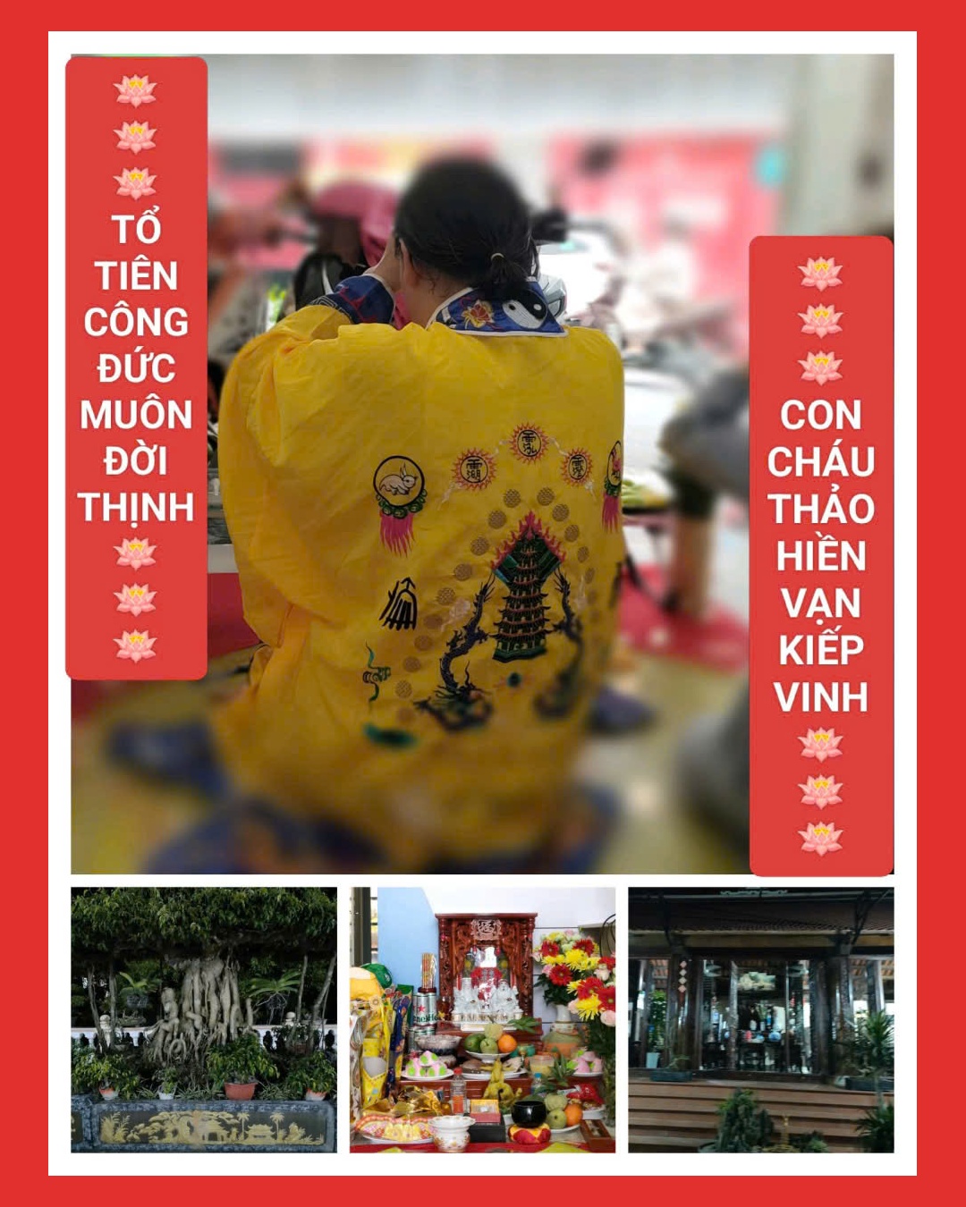 Hình ảnh tư vấn và công trình thực tế 41